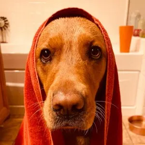 User Photo Profile