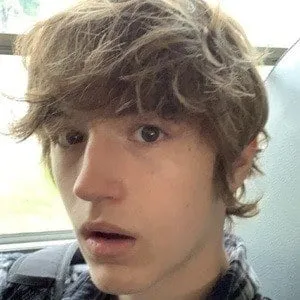 User Photo Profile