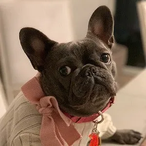 User Photo Profile