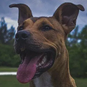 User Photo Profile