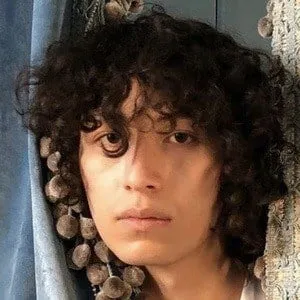 User Photo Profile