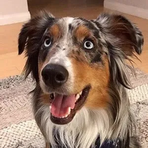 User Photo Profile