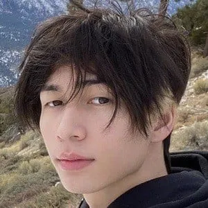 User Photo Profile