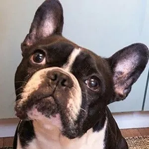 User Photo Profile