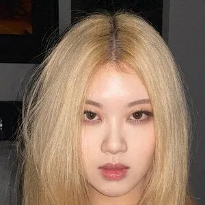 User Photo Profile